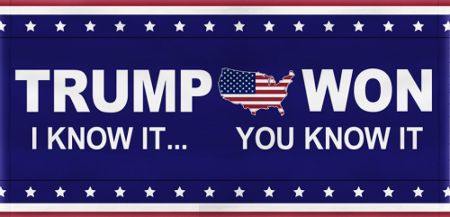 2020 trump won and we know it