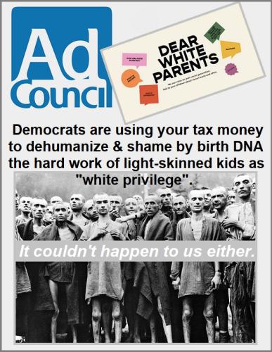 ANTI-WHITE AD COUNCIL