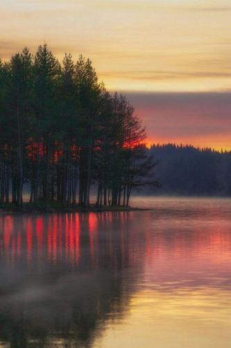 img-d2ab6c52