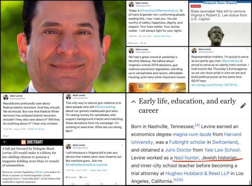 DelegateMark.Mark_Levine.n.1