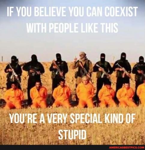 c1750e63ac56fb2b22c5163f206f19ada270a060bd0800d47ed0b665e883220e_1