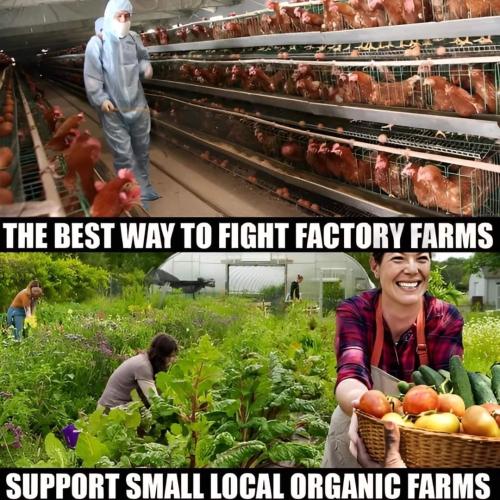 FB_IMG_1712072901531