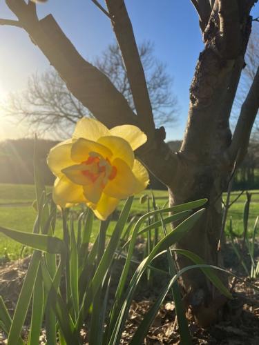 C6C2F1F0-D25F-432A-9AAC-0BF6F4822834