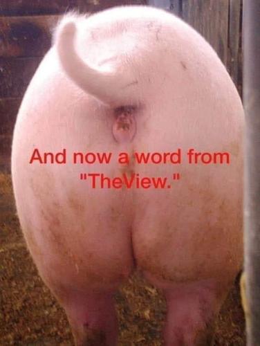 FB_IMG_1712875363387