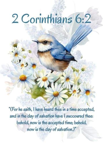 d65395a6-5f48-4a5a-83d3-48fd01f39e96