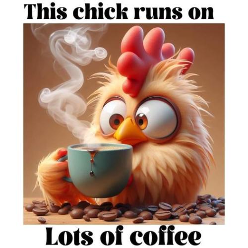 432169240_10232599514034532_2666112447553728865_n