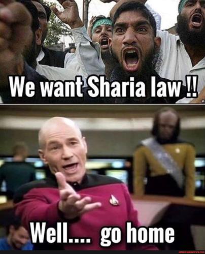 1a0dc31169f44b1ed73f9970d6d3d62e7fd42b9dd35995484f2eaf00be4a3e7e_1