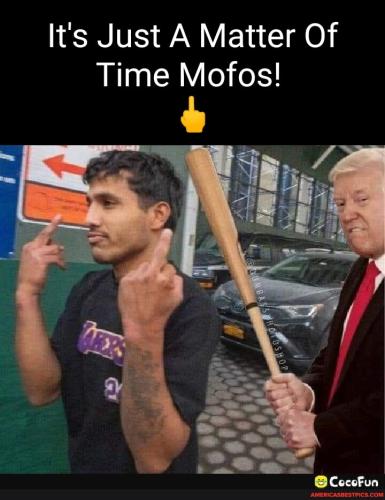 dbec8c786a20b850234eade6170945dbbd70775356159c0cda490f080e1271fa_1