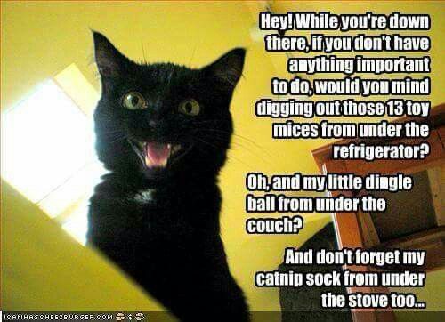 101ebeb2d59b3c471a396a4ec1b7d353