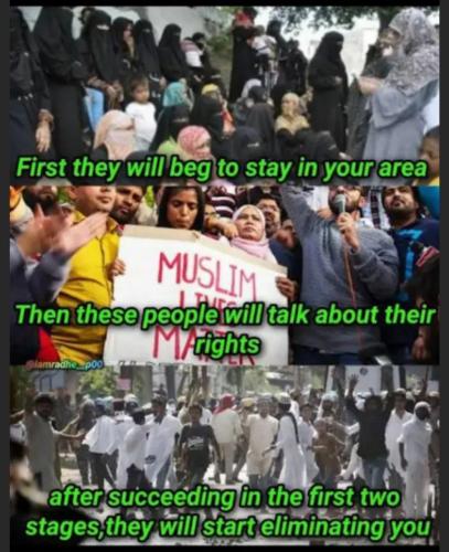 IMG_20240419_121240_514