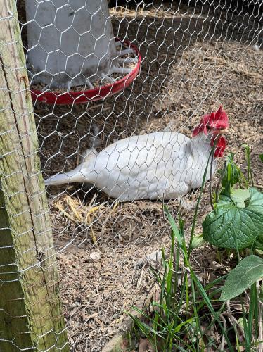 A8D61DE1-B759-4B6F-ABA8-29143D587674