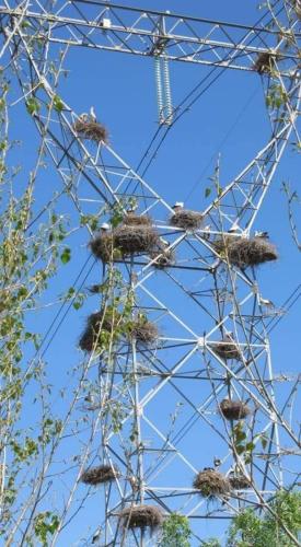 img-e71f1315