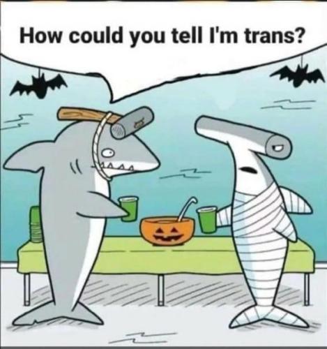 IMG_20240404_010737_731