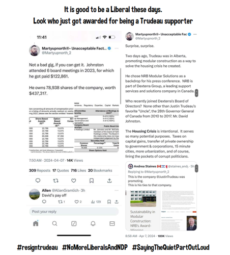 David Johnstone liberal