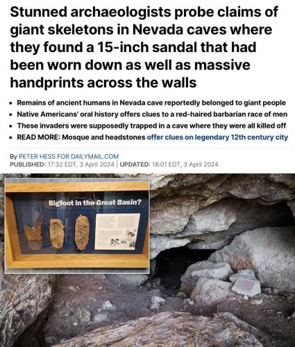 IMG_20240404_083126_853