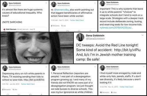 DanaGoldstein.Dana_Goldstein.n.1