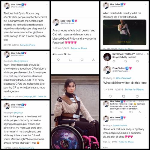 65PinkRoses.Elsie_Tellier.n.1