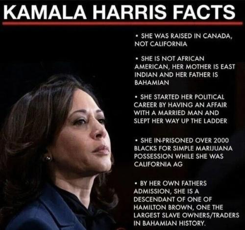 kamala harris goods