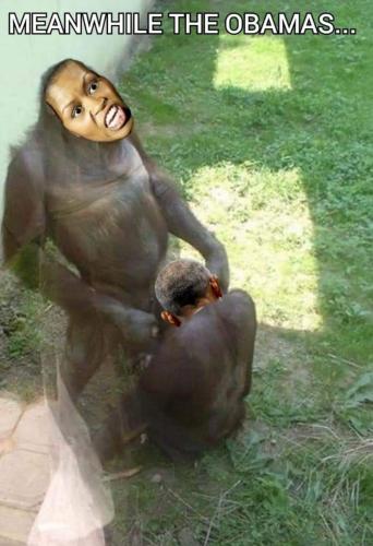 FB_IMG_1712846557067