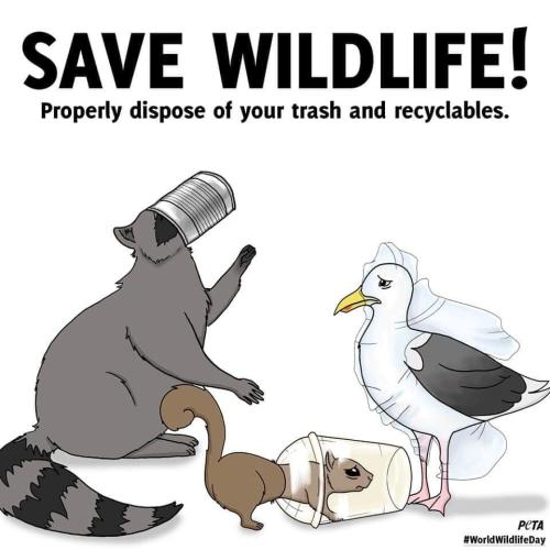 12:12:54 GMT-0500 (CDT)