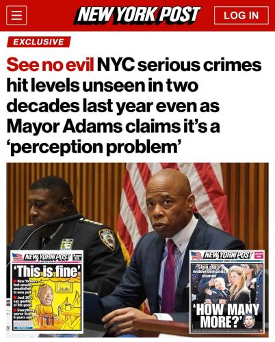 xephula_f17fffcc4d91af4df346529c766dc32a