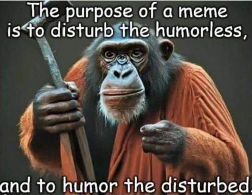 photo_2024-04-11_15-12-20