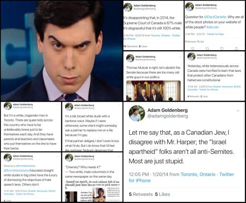 adamgoldenberg.Adam_Goldenberg.n.1