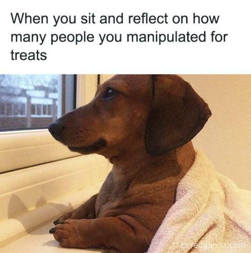 7d89b22b9bfaded2896d4b123cb022de