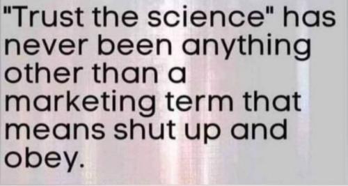 IMG_20240408_164026_812