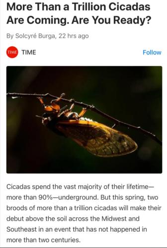 4ec2dad73bee2ee900fc520deab199e22ddbffb403cc9f1fd79428389445bb6e_1