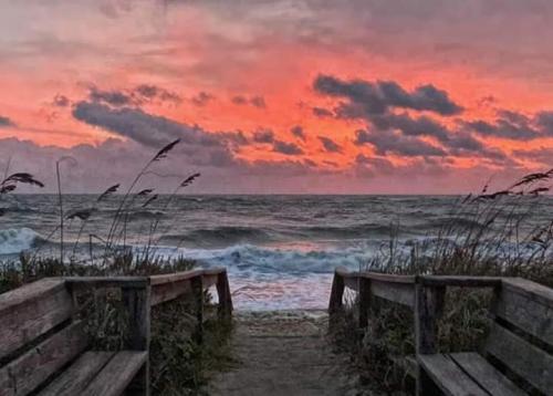 1e9c8f75-0e7c-4a9d-8925-f55933c3d0cb-1_all_295