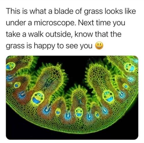 photo_2024-04-02_00-22-04 (2)