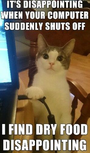 58e5ae3e64cb56ad21ffd643ff315c42