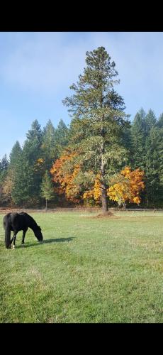 Screenshot_20240411_181808_Photos