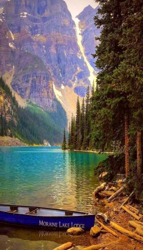 img-0f163276