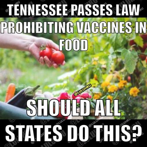 ea90e0bb-42da-4835-a29e-cdbee721e881