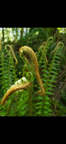 Screenshot_20240407_074355_Photos