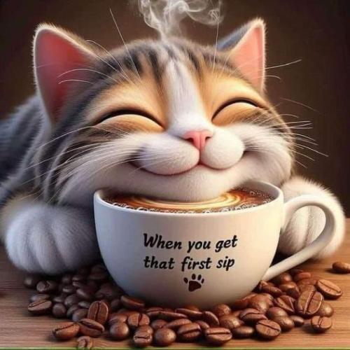 436449237_1806110056517300_6263370822668331246_n