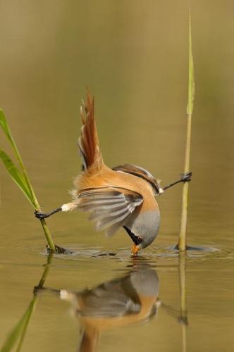img-6aaccc48