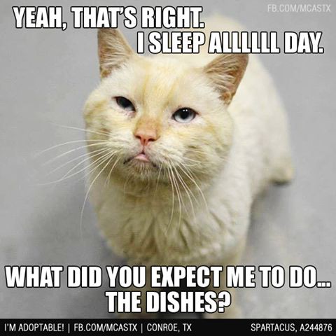 b94931316469263ddc975b1d13796a6d