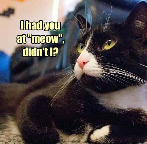 95d72a3aca0526c28f559c6614d74bc4