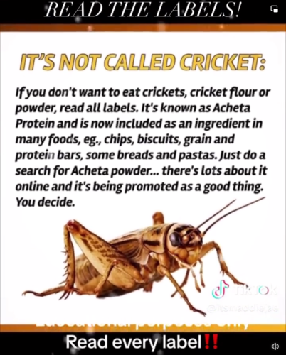 Screenshot_2024-04-22-15-17-52_kindlephoto-332209061