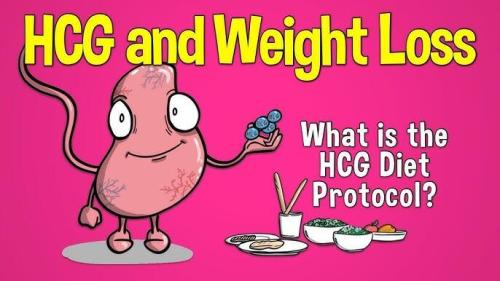 HCG and weight loss protocol