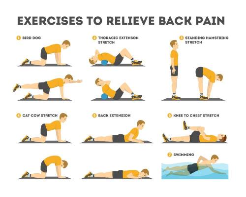 Back Pain Relief Exercises Stretches