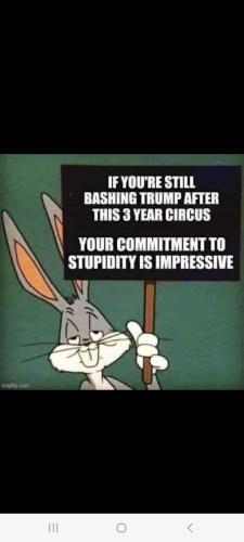 Screenshot_20240418_133525_Wimkin Free Speech Social Media