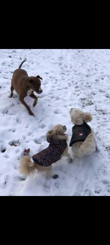 Screenshot_20221229-130149_Gallery