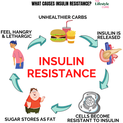 Insulin resistance causes