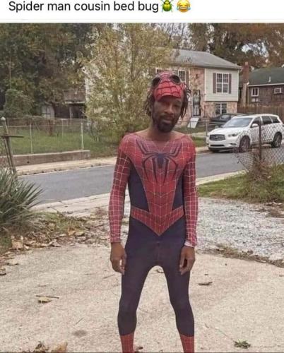 FB_IMG_1710950658772