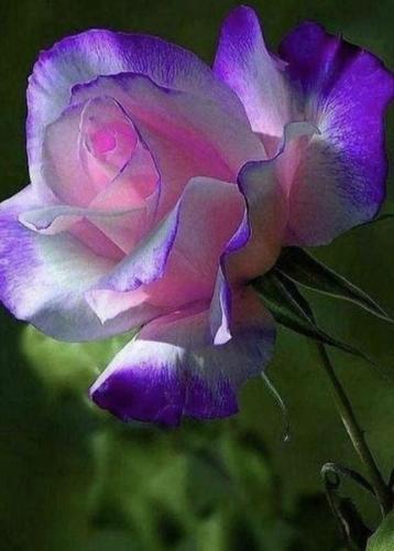 zzzzzz     zzzz 416257818_28592121779