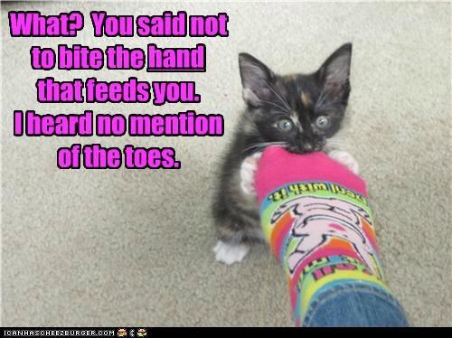 674471b04166fc2f253b07d6445cee35